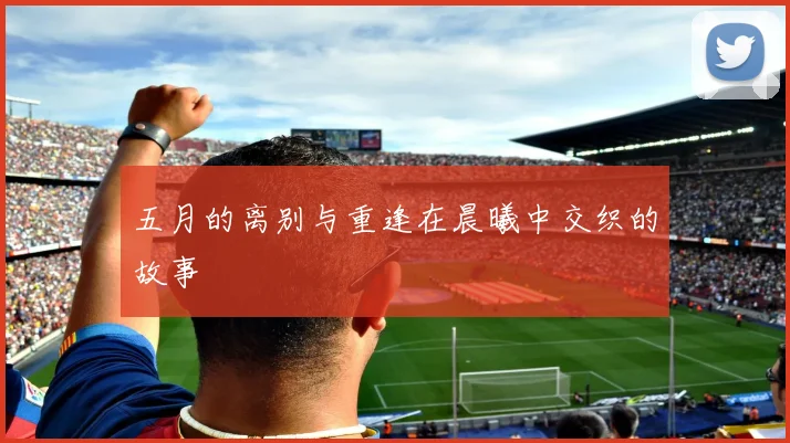 五月的离别与重逢在晨曦中交织的故事